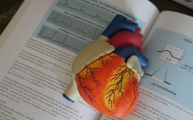 Bachelor Of Science In Cardiac Technology